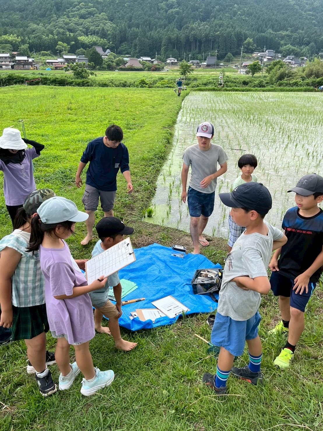 田んぼの自然観察