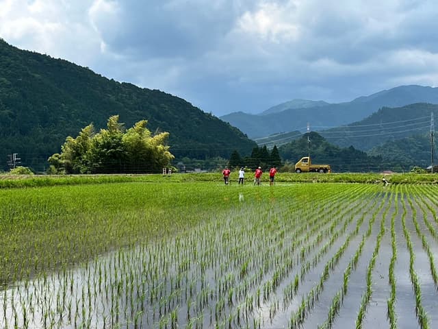 美山フォトブック（写真集づくり）