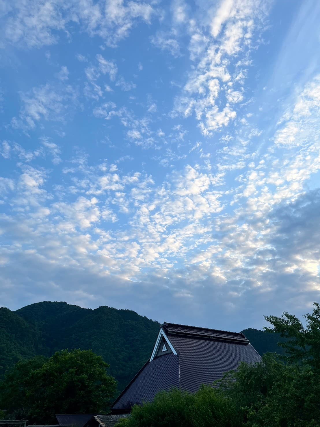 拠点づくり（茅葺きトレーラーハウス）