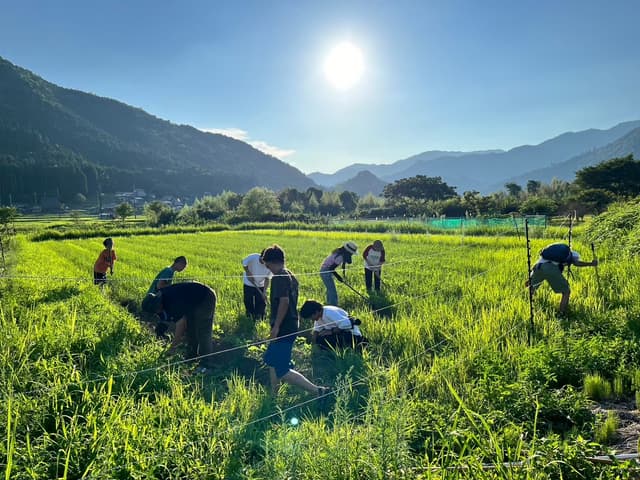 里山農業体験