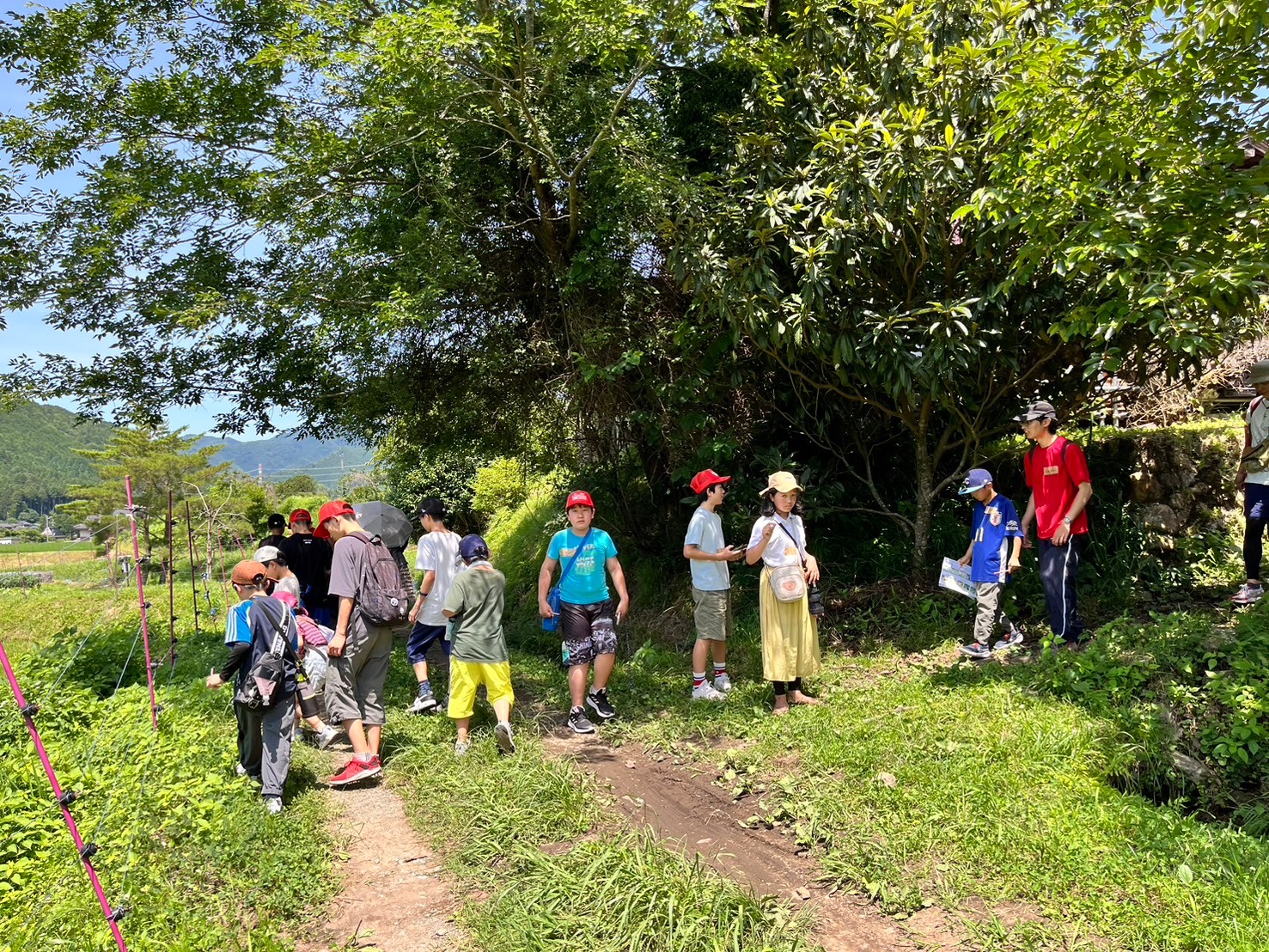 美山町での取り組み